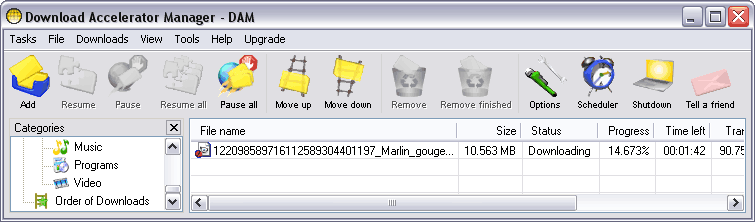 Download Accelerator Manager (DAM)