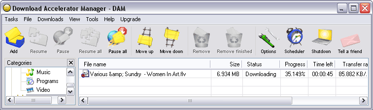 Download Accelerator Manager (DAM)