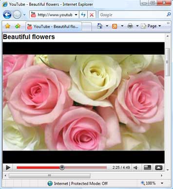 Web Browser
